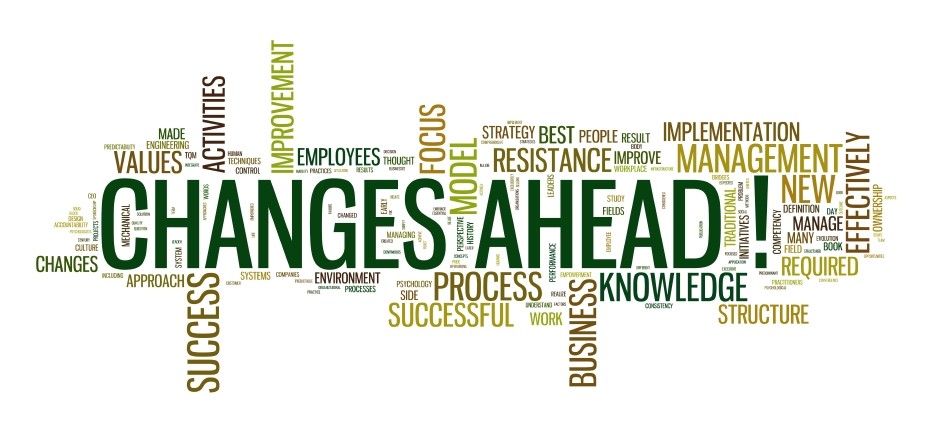 Leadership Alchemy: Sparking Change with 10 Transformative Principles